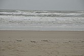 DSC_0414.JPG