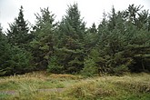 DSC_0420.JPG
