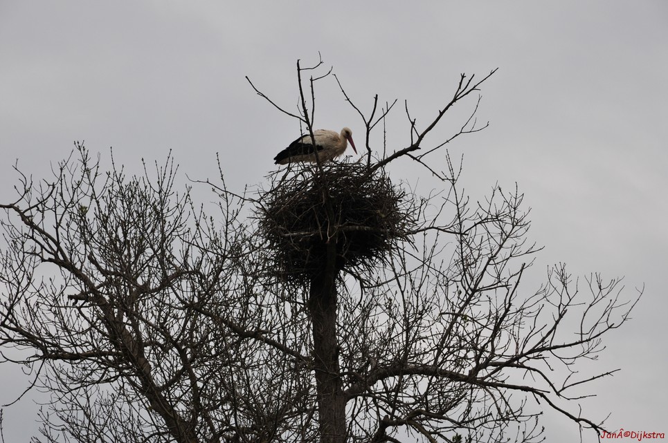 dsc_9479.jpg