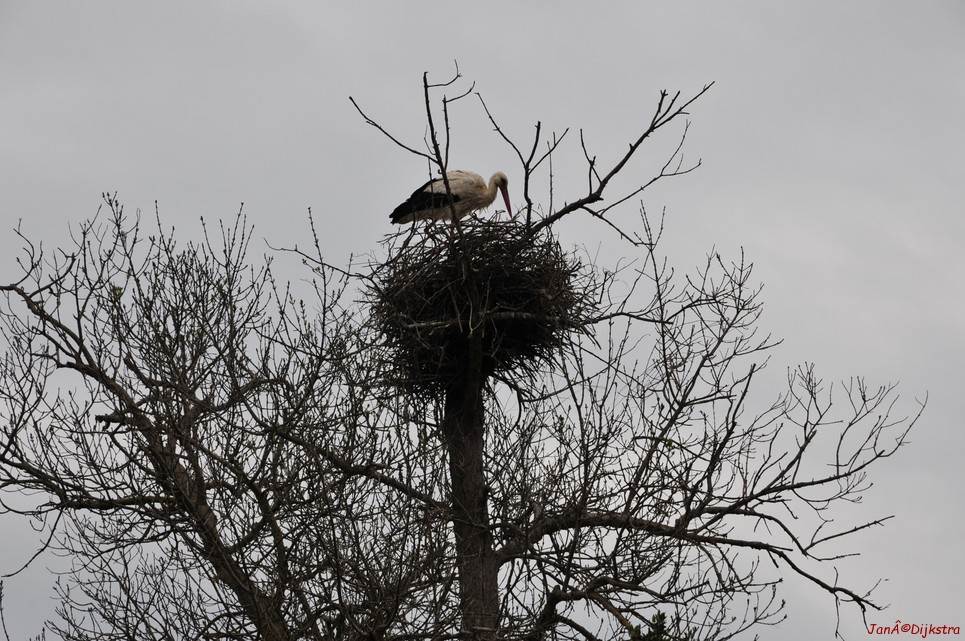 dsc_9480.jpg