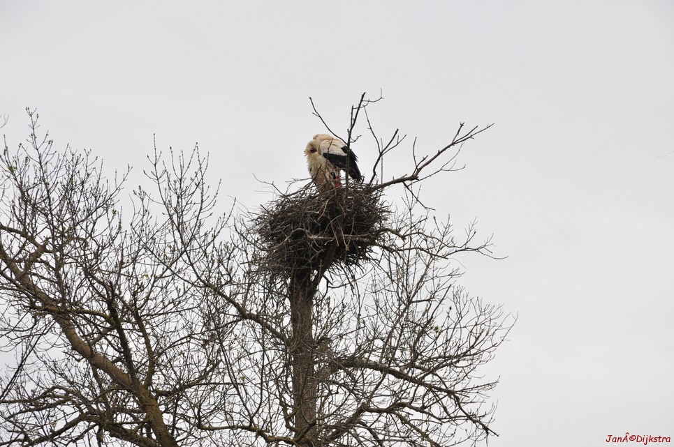 dsc_9483.jpg