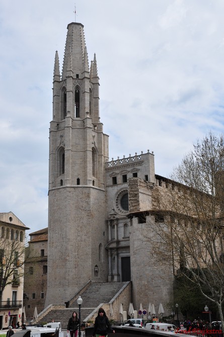 dsc_9508.jpg