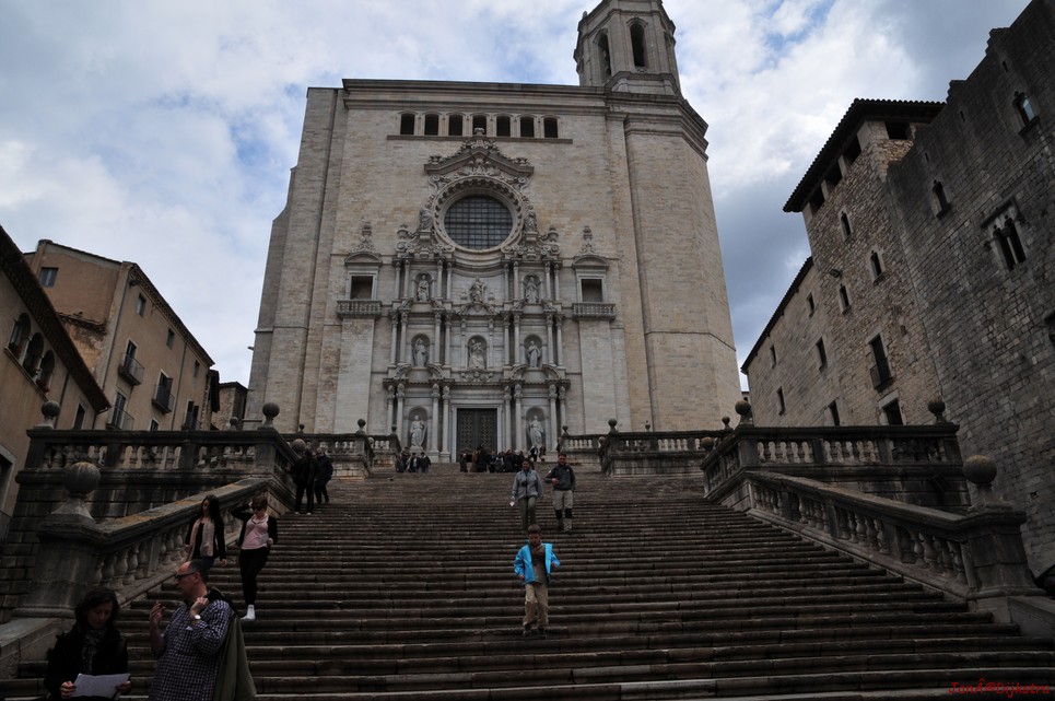 dsc_9514.jpg