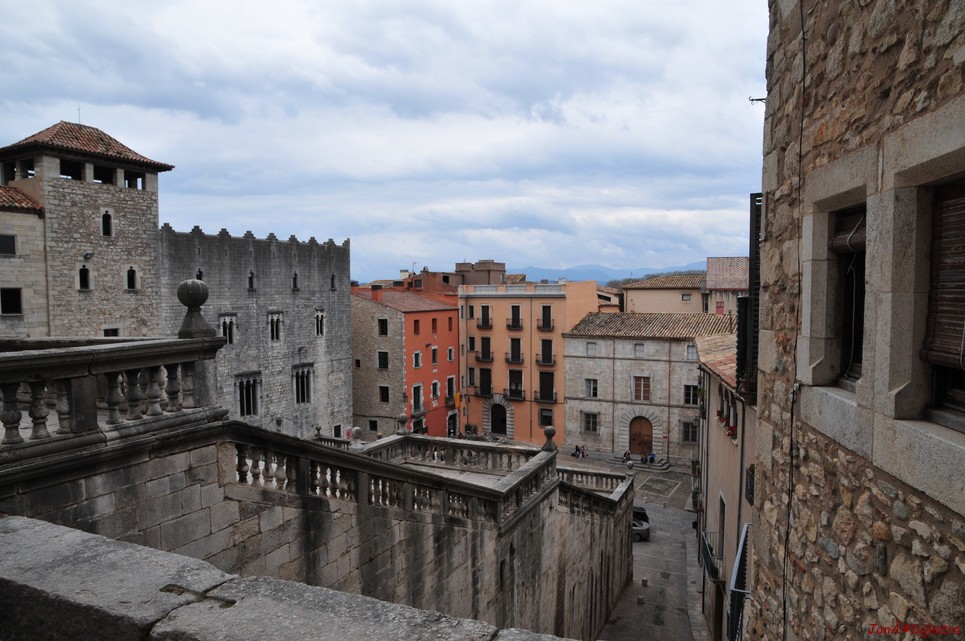 dsc_9522.jpg