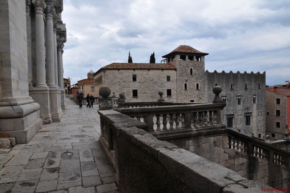 dsc_9523.jpg