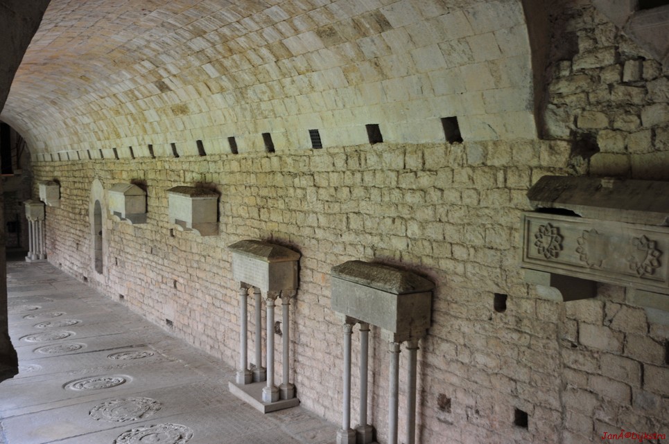 dsc_9535.jpg