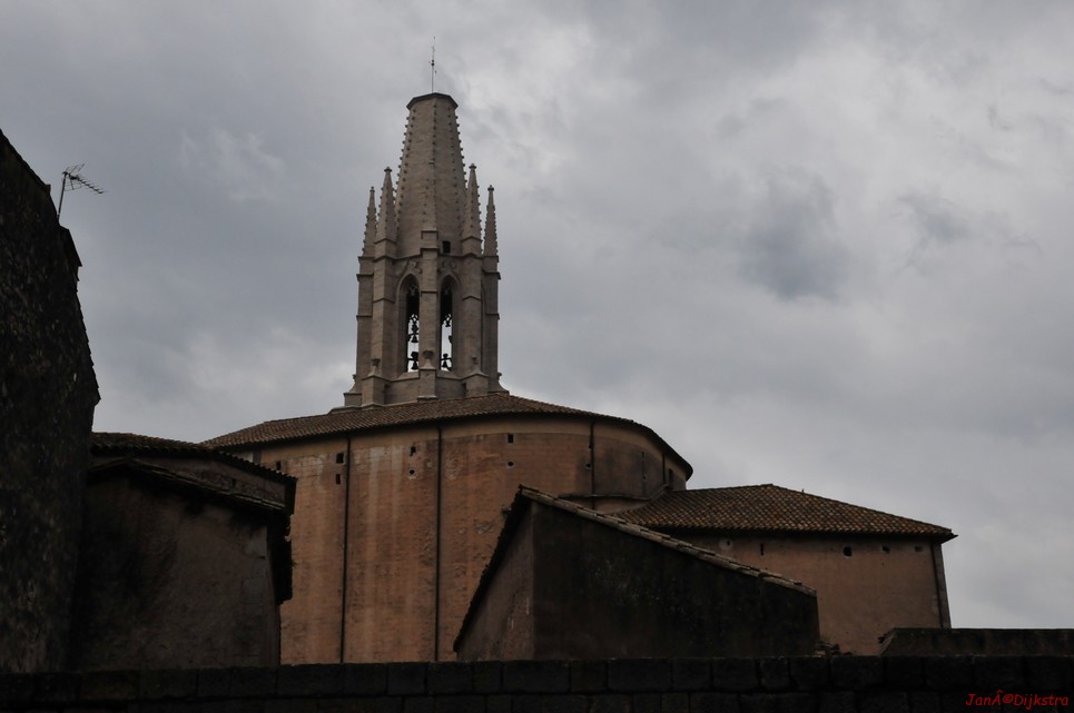 dsc_9558.jpg