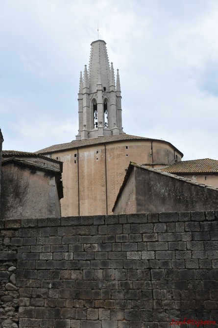dsc_9559.jpg