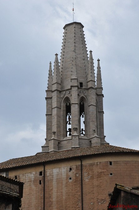dsc_9560.jpg