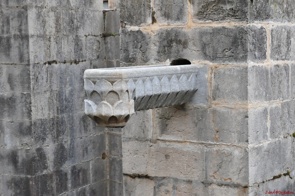 dsc_9561.jpg