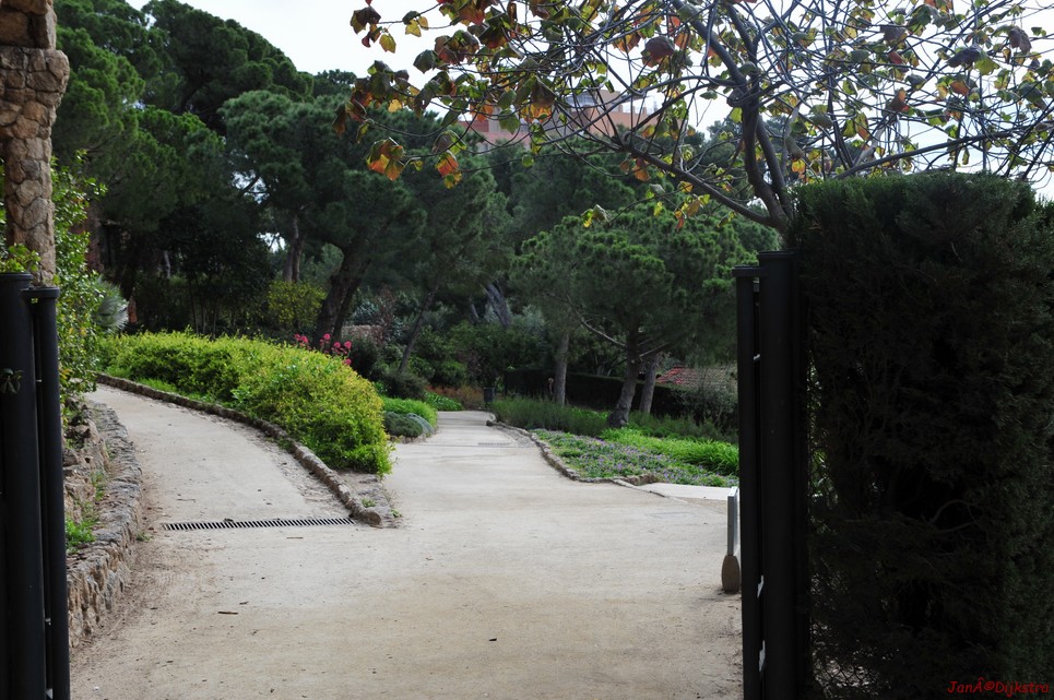 dsc_9628.jpg