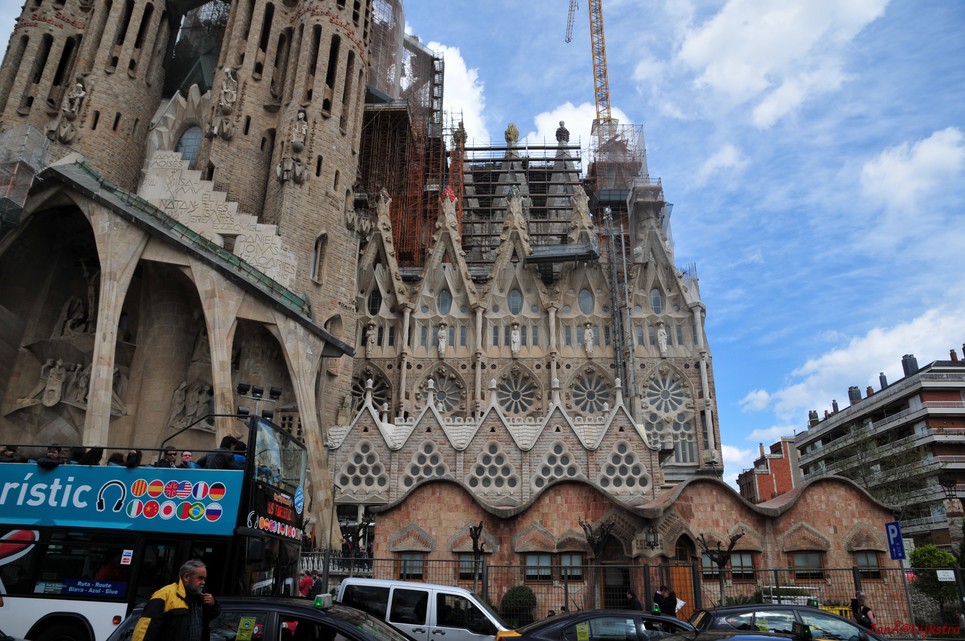 dsc_9762.jpg