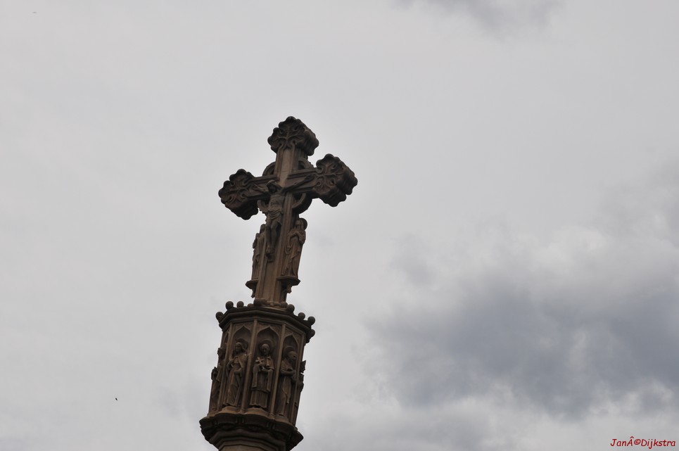 dsc_9785.jpg