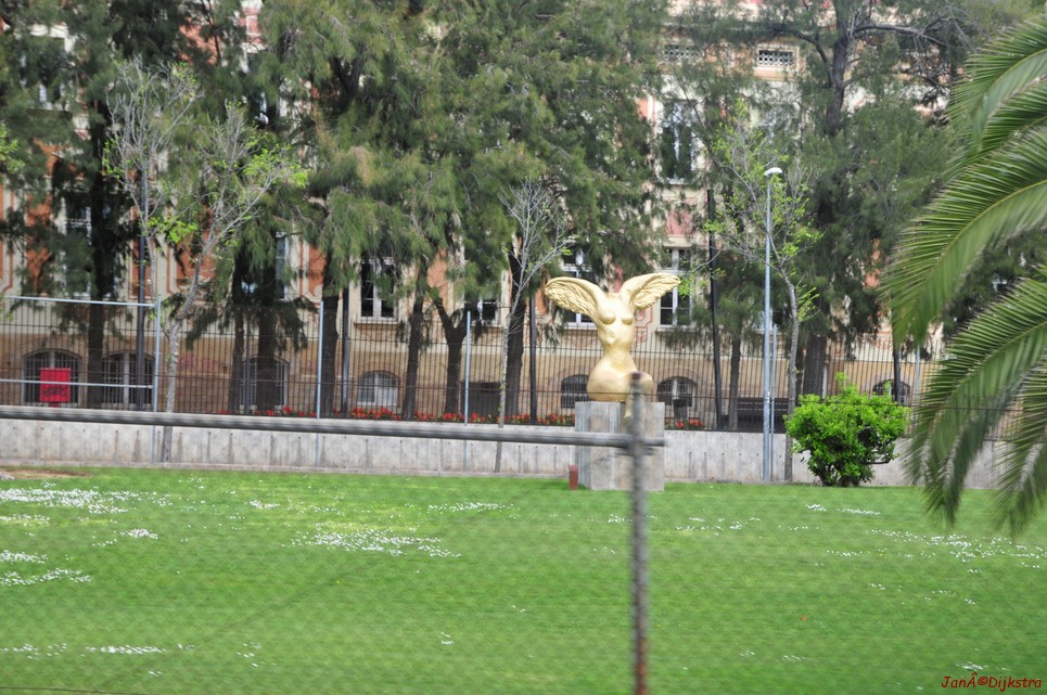dsc_9798.jpg