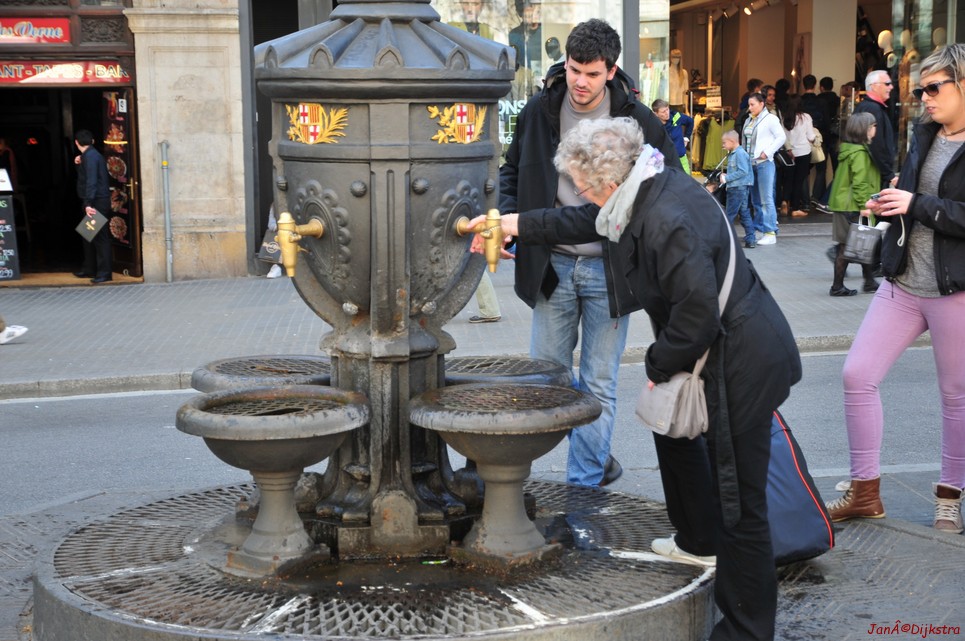dsc_9825.jpg