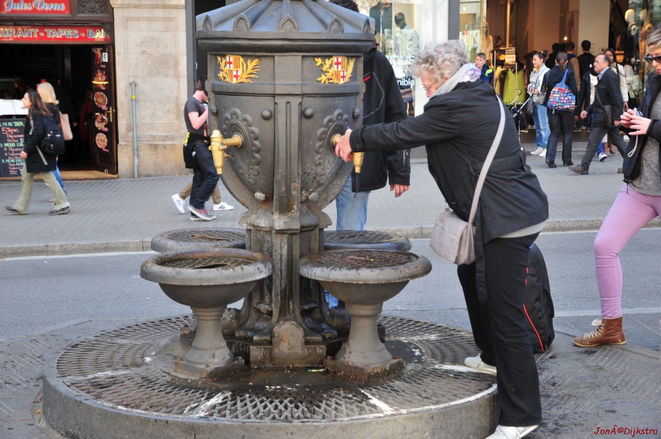 dsc_9826.jpg