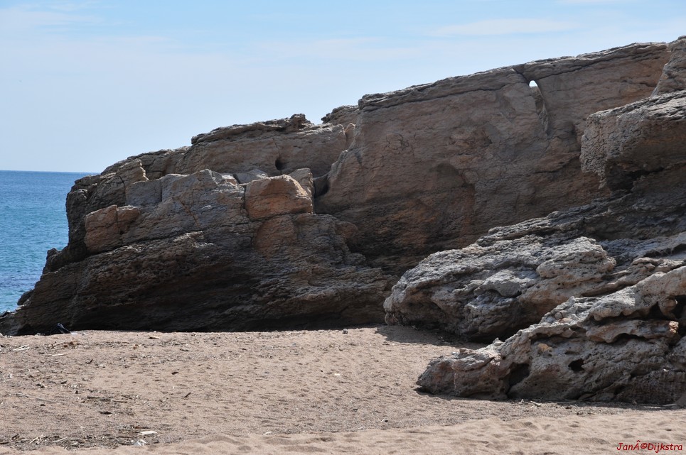 dsc_9851.jpg