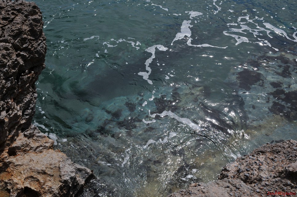 dsc_9860.jpg