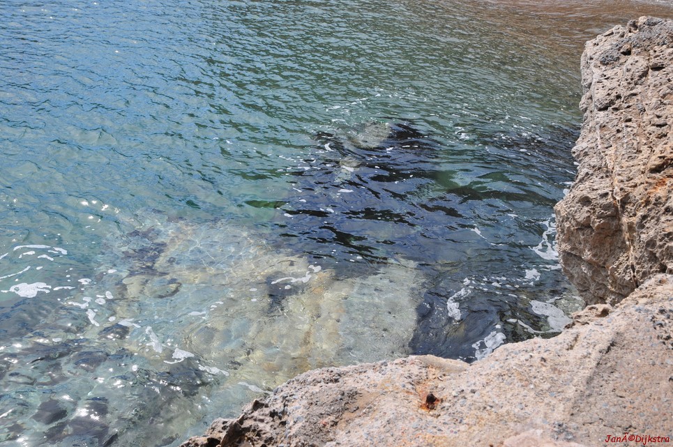 dsc_9861.jpg