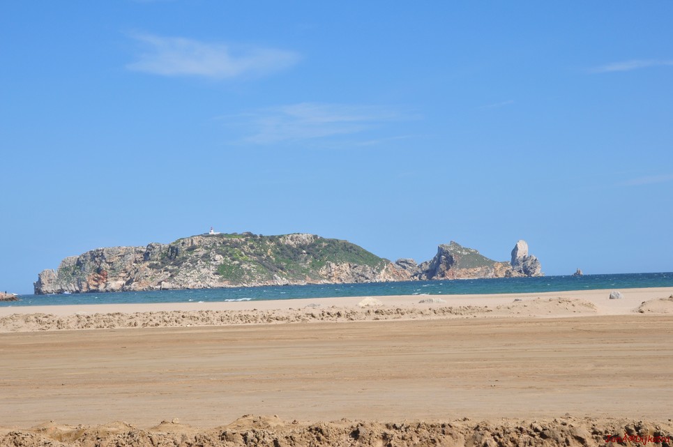 dsc_9866.jpg