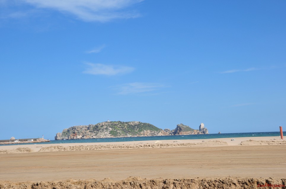 dsc_9868.jpg