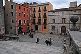 dsc_9517.jpg