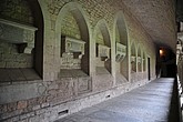dsc_9529.jpg