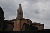 dsc_9558.jpg