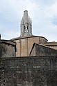 dsc_9559.jpg
