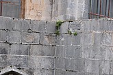 dsc_9562.jpg