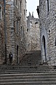 dsc_9564.jpg