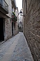 dsc_9568.jpg