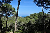 dsc_9582.jpg