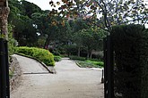 dsc_9628.jpg
