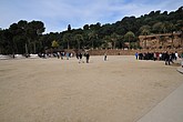 dsc_9635.jpg