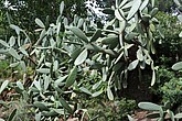 dsc_9682.jpg