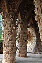 dsc_9695.jpg