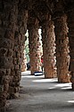 dsc_9696.jpg