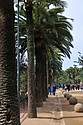 dsc_9704.jpg