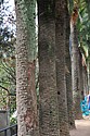 dsc_9705.jpg