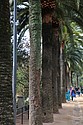 dsc_9706.jpg