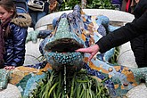 dsc_9726.jpg