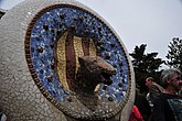 dsc_9729.jpg