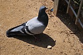 dsc_9746.jpg