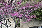 dsc_9782.jpg