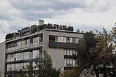 dsc_9784.jpg