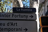 dsc_9835.jpg