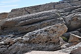 dsc_9852.jpg