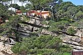 dsc_9854.jpg