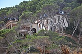 dsc_9855.jpg